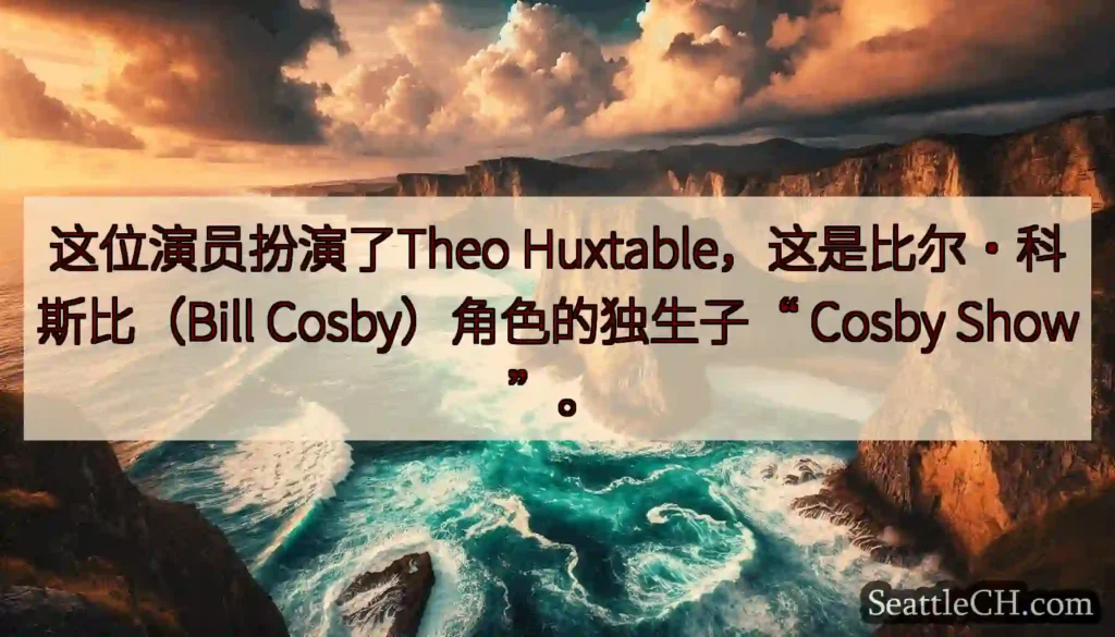 这位演员扮演了Theo Huxtable，这是比尔·科斯比（Bill Cosby）角色的独生子“
