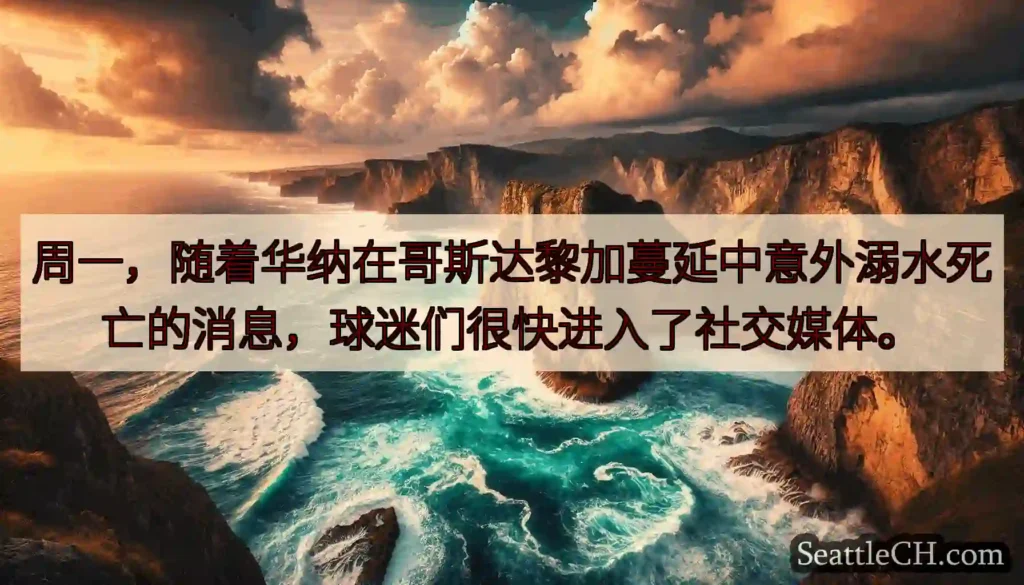 周一，随着华纳在哥斯达黎加蔓延中意外溺水死亡的消息，球迷们很快进入了社交媒体。