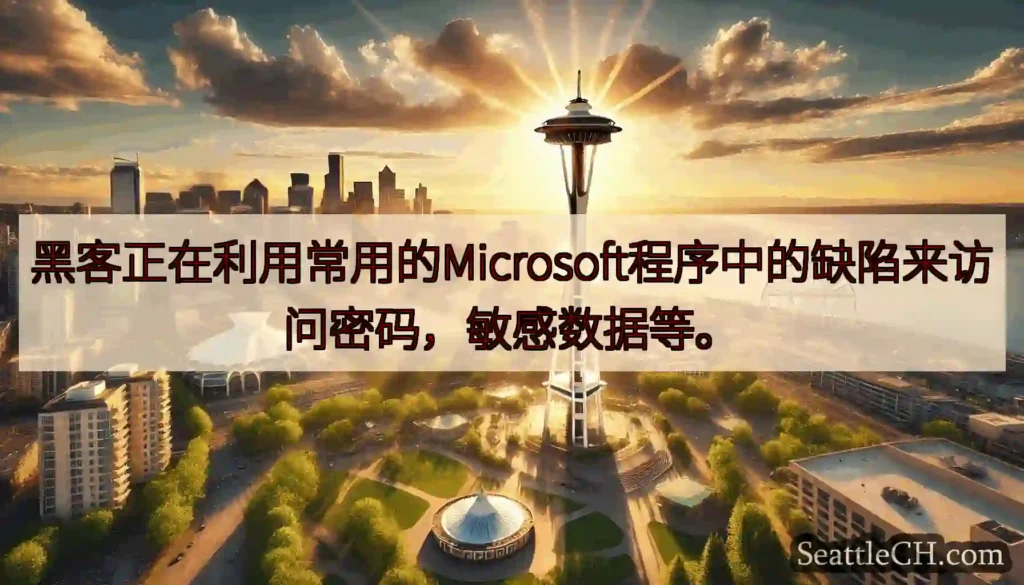 黑客正在利用常用的Microsoft程序中的缺陷来访问密码，敏感数据等。
