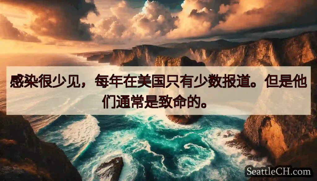 感染很少见，每年在美国只有少数报道。但是他们通常是致命的。