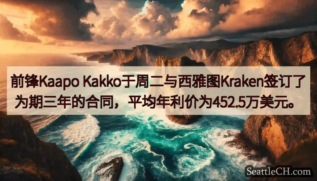 前锋Kaapo
