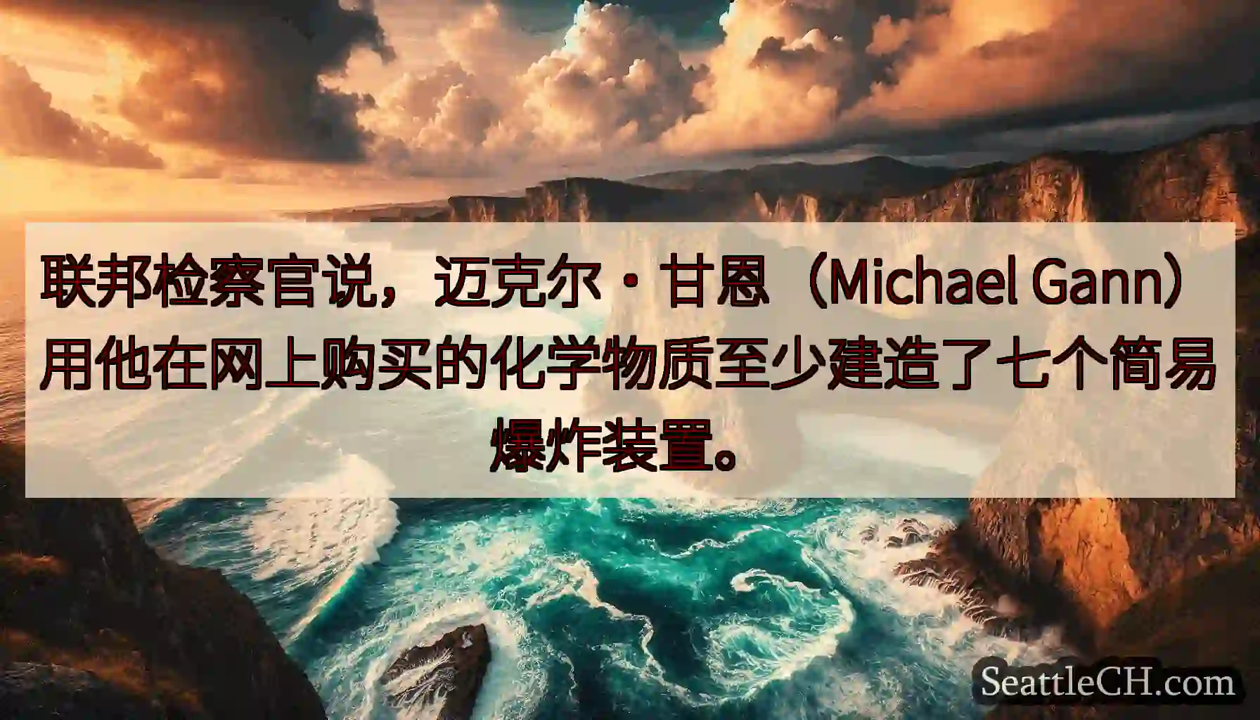 联邦检察官说，迈克尔·甘恩（Michael