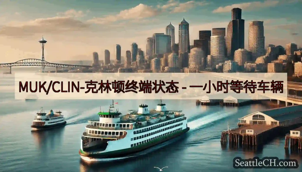 MUK/CLIN-克林顿终端状态 -