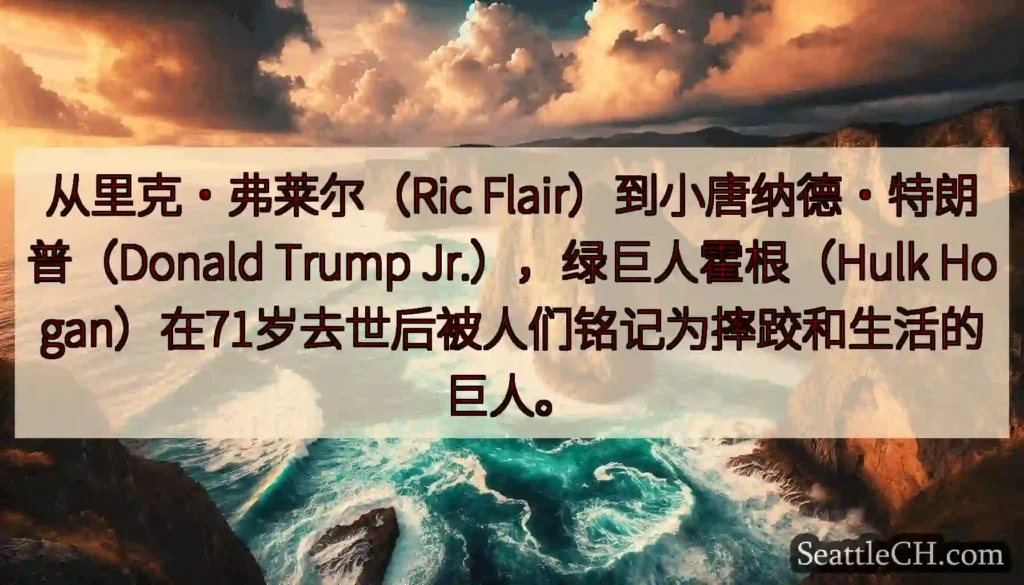 从里克·弗莱尔（Ric Flair）到小唐纳德·特朗普（Donald Trump