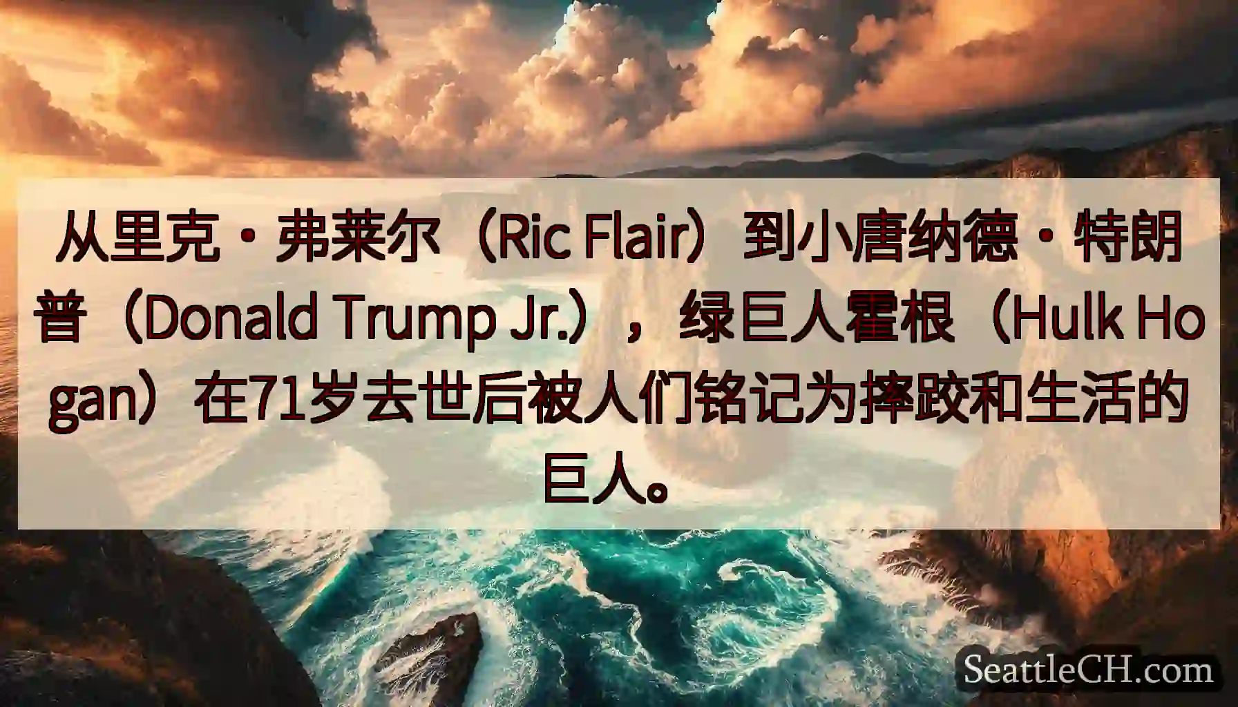 从里克·弗莱尔（Ric Flair）到小唐纳德·特朗普（Donald Trump