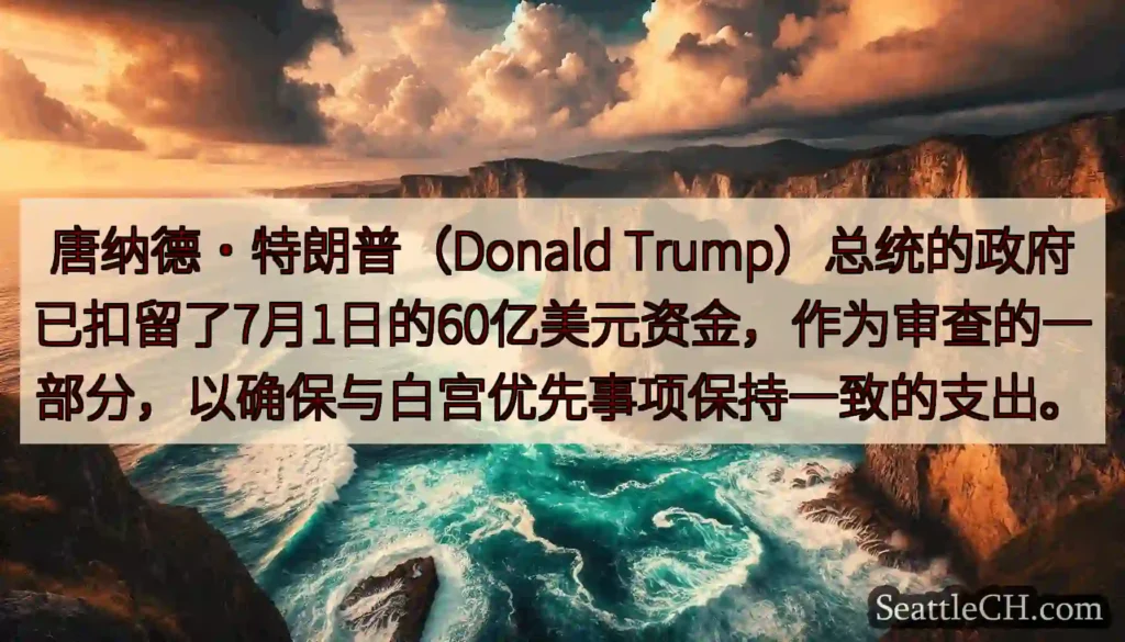 唐纳德·特朗普（Donald