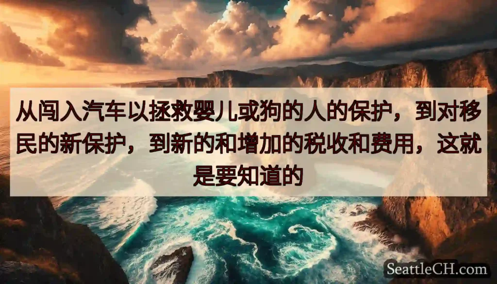 从闯入汽车以拯救婴儿或狗的人的保护，到对移民的新保护，到新的和增加的税收和费用，这就是要知道的