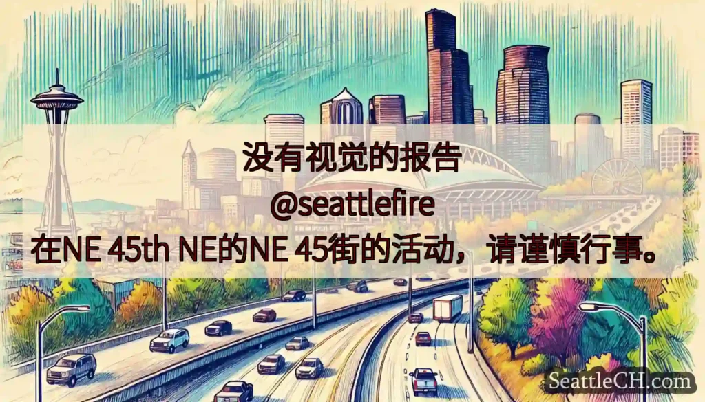 没有视觉的报告