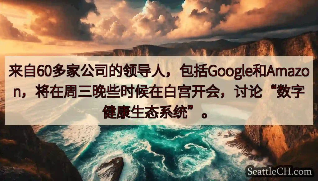 来自60多家公司的领导人，包括Google和Amazon，将在周三晚些时候在白宫开会，讨论“数字健康