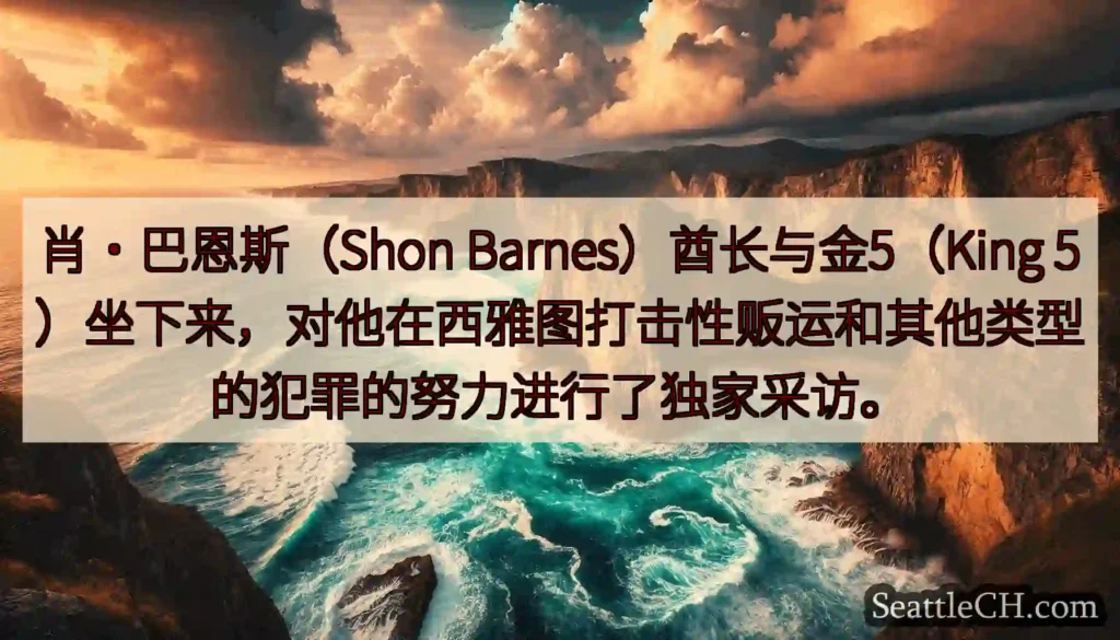 肖·巴恩斯（Shon Barnes）酋长与金5（King