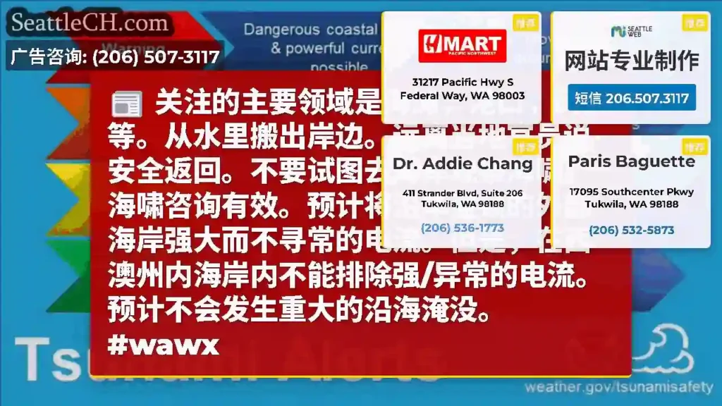 关注的主要领域是海滩，港口，码头等。从水里搬出岸边。远离当地官员说安全返回。不要试图去海岸观察海啸。