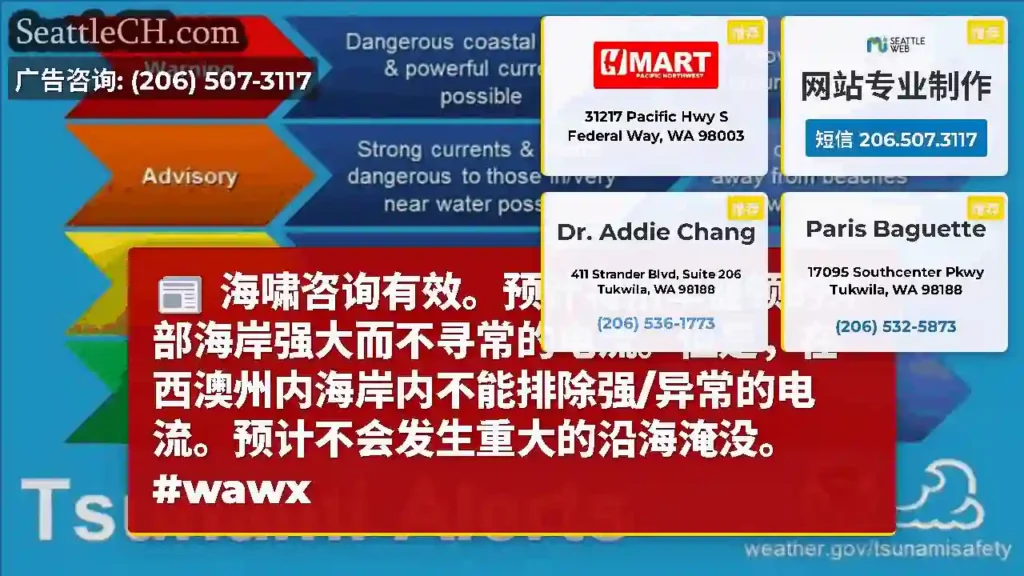 海啸咨询有效。预计将沿华盛顿的外部海岸强大而不寻常的电流。但是，在西澳州内海岸内不能排除强/异常的电
