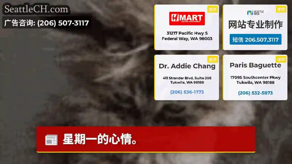 星期一的心情。