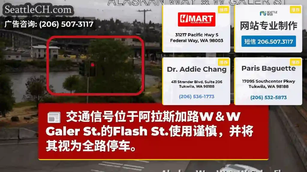 交通信号位于阿拉斯加路W＆W Galer St.的Flash St.使用谨慎，并将其视为全路停车。