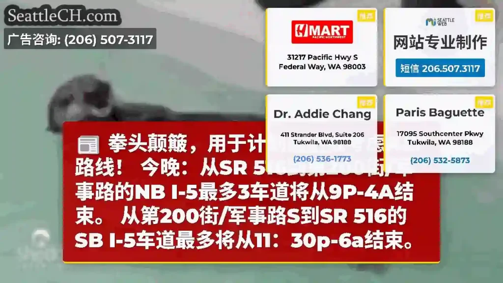 拳头颠簸，用于计划延迟或考虑ALT路线！