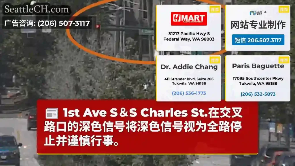 1st Ave S＆S Charles St.在交叉路口的深色信号将深色信号视为全路停止并谨慎行事。