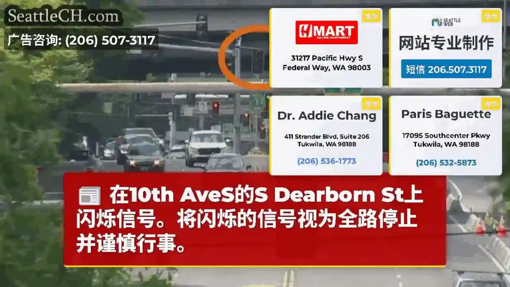 在10th AveS的S Dearborn St上闪烁信号。将闪烁的信号视为全路停止并谨慎行事。