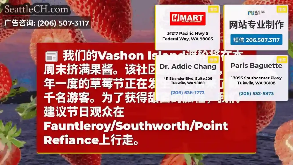 我们的Vashon