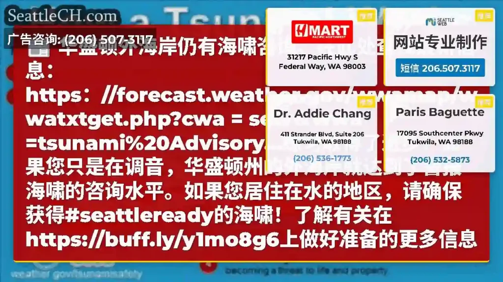 华盛顿外海岸仍有海啸咨询。在此处查找最新信息：https：//forecast.weather.go