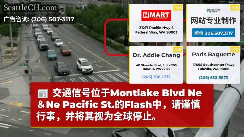 交通信号位于Montlake Blvd Ne＆Ne Pacific