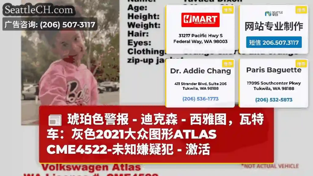 琥珀色警报 - 迪克森 - 西雅图，瓦特车：灰色2021大众图形ATLAS