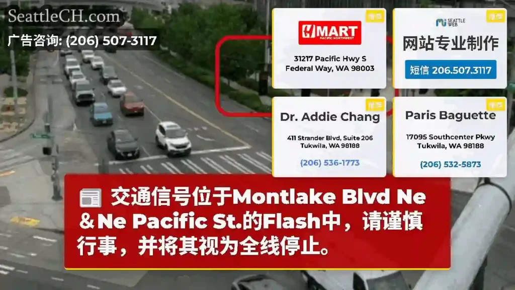 交通信号位于Montlake Blvd Ne＆Ne Pacific