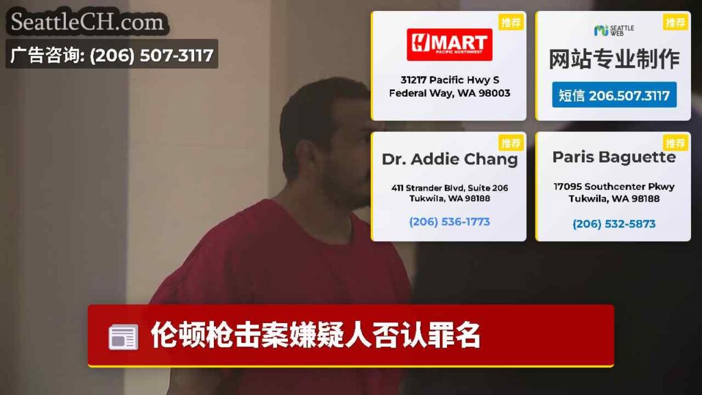 伦顿枪击案嫌疑人否认罪名