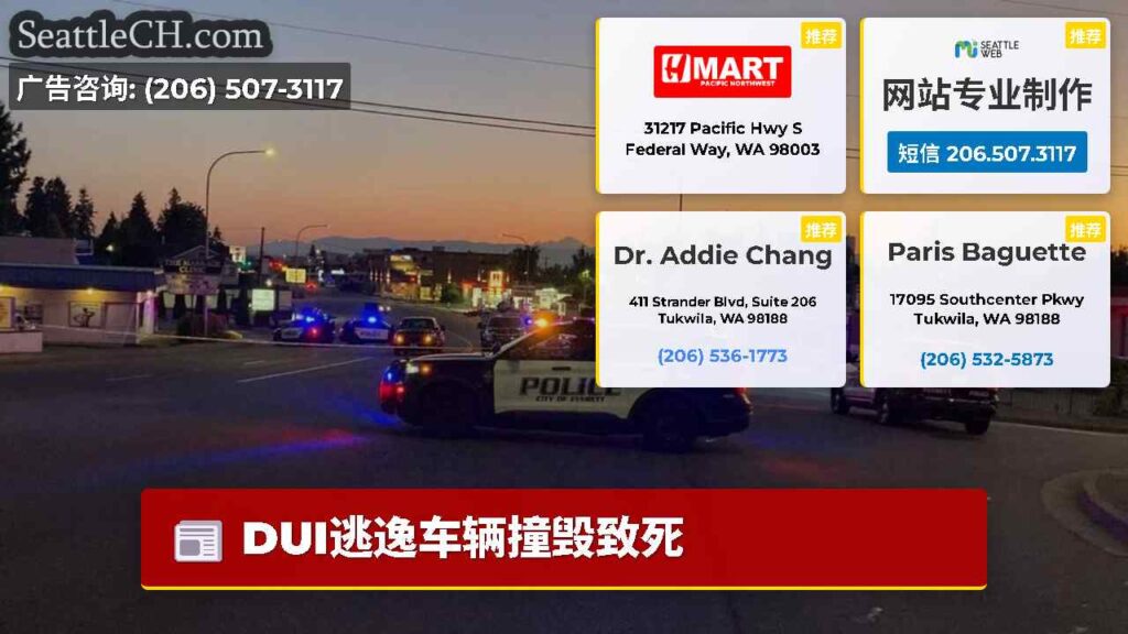 DUI逃逸车辆撞毁致死