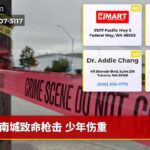 南城致命枪击 少年伤重