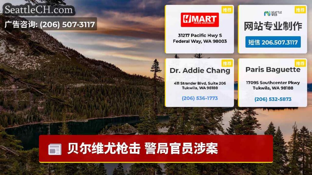 贝尔维尤枪击 警局官员涉案
