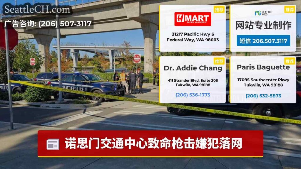 诺思门交通中心致命枪击嫌犯落网