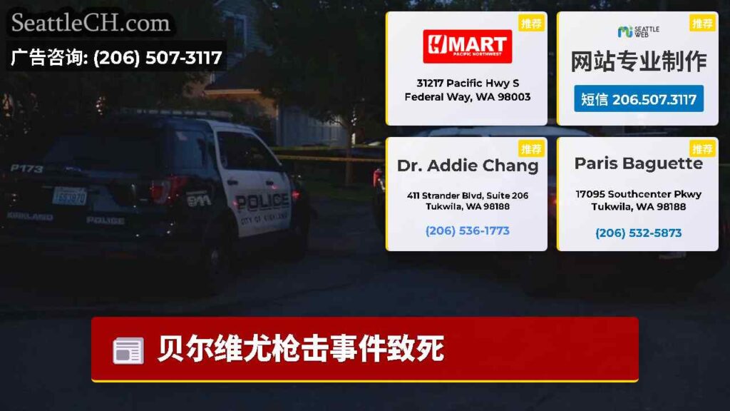 贝尔维尤枪击事件致死