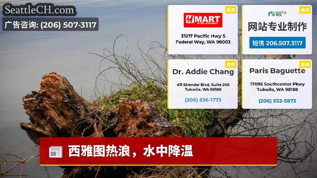 西雅图热浪，水中降温