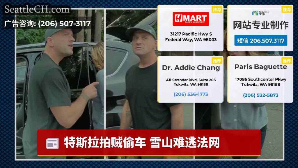 特斯拉拍贼偷车 雪山难逃法网