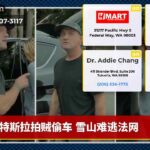 特斯拉拍贼偷车 雪山难逃法网