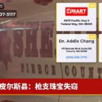 皮尔斯县：枪支珠宝失窃