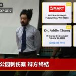 公园刺伤案 辩方终结