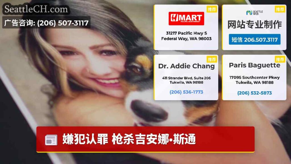 嫌犯认罪 枪杀吉安娜·斯通