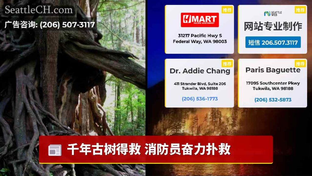 千年古树得救 消防员奋力扑救
