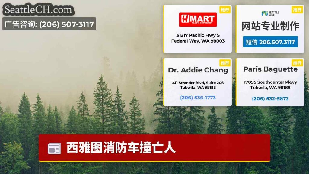 西雅图消防车撞亡人
