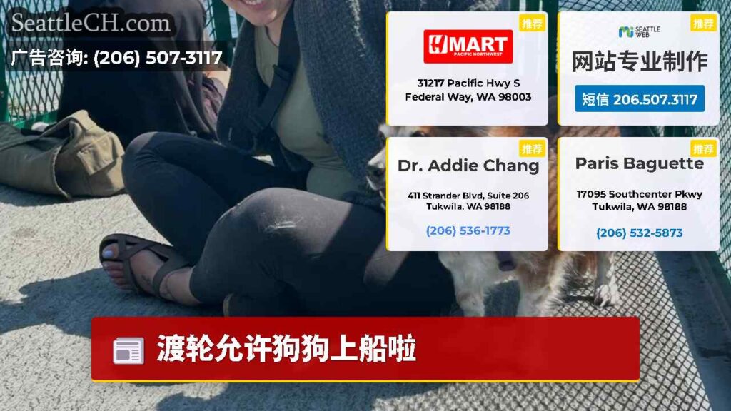 渡轮允许狗狗上船啦