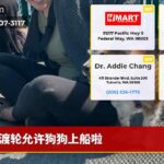 渡轮允许狗狗上船啦