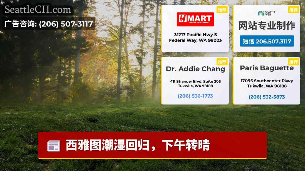 西雅图潮湿回归，下午转晴