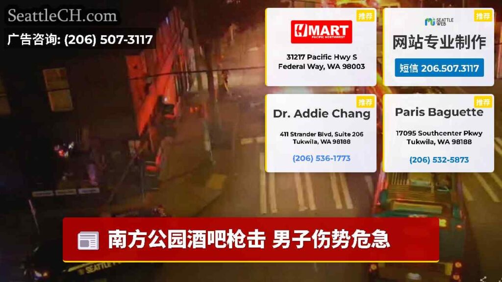 南方公园酒吧枪击 男子伤势危急