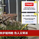 四岁娃持枪 伤人父将诉