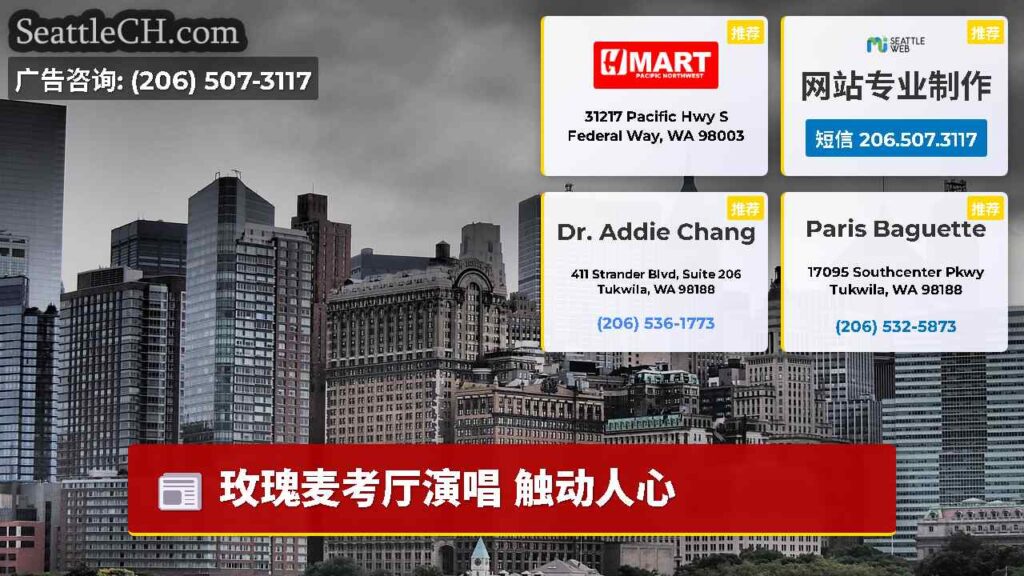 玫瑰麦考厅演唱 触动人心