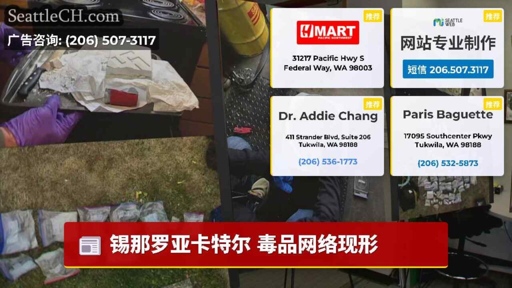 锡那罗亚卡特尔 毒品网络现形