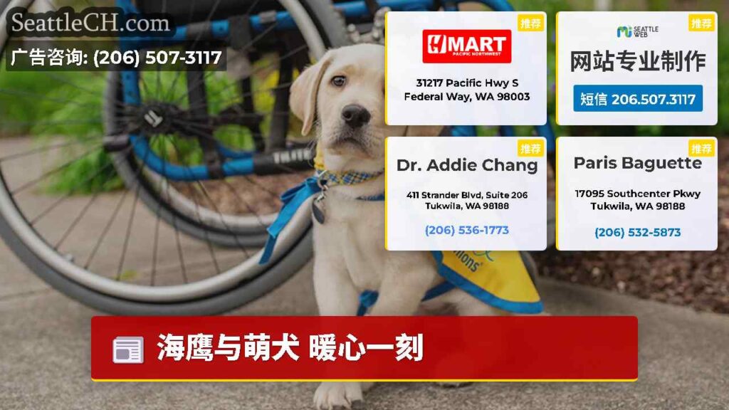 海鹰与萌犬 暖心一刻