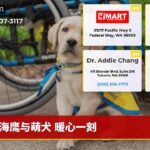 海鹰与萌犬 暖心一刻