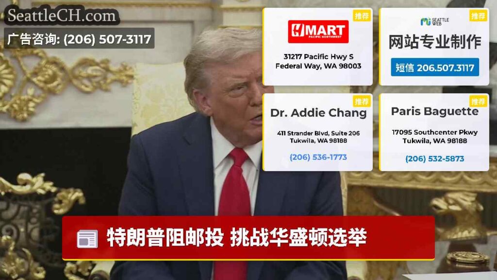 特朗普阻邮投 挑战华盛顿选举